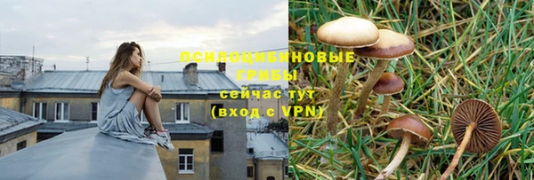 дживик Алексеевка