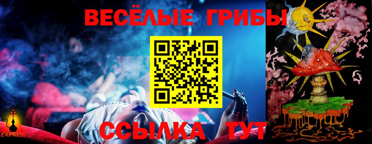 Морозовск  Псилоцибиновые грибы Psilocybine cubensis  Вход с VPN  Псилоцибиновые грибы прущие грибы 
